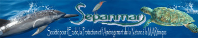 sepanmar