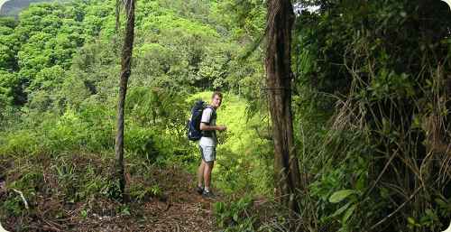 martinique2
